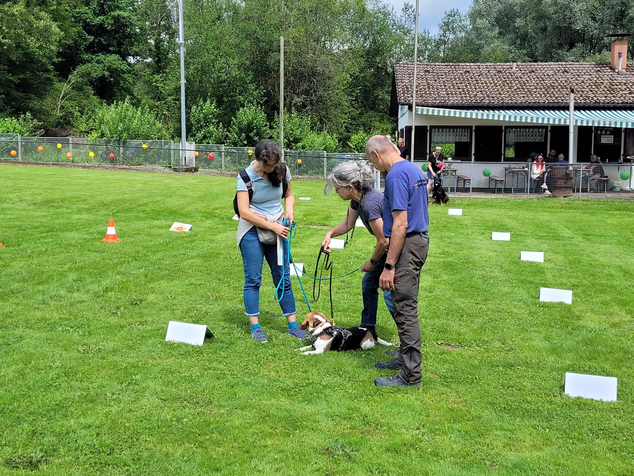 Rally Obedience - probier es aus!