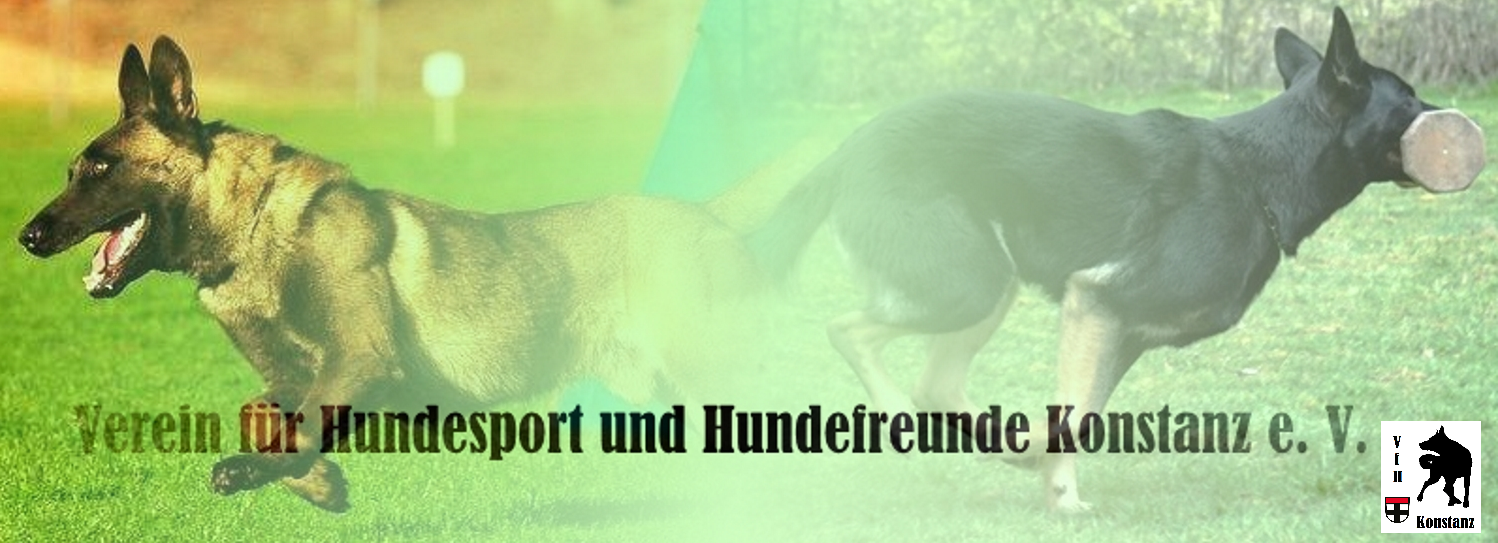 Hundesport Konstanz